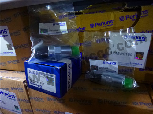 1206E柴油機(jī)T410145柴油燃油泵、溫度感應(yīng)傳感器、燃料過(guò)濾器(1206E)